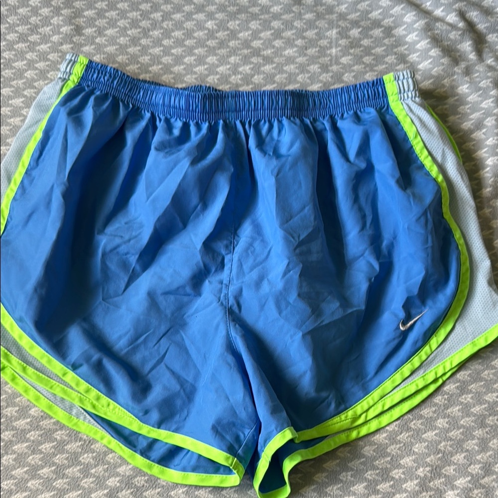 Nike Dri-FIT Blue Shorts